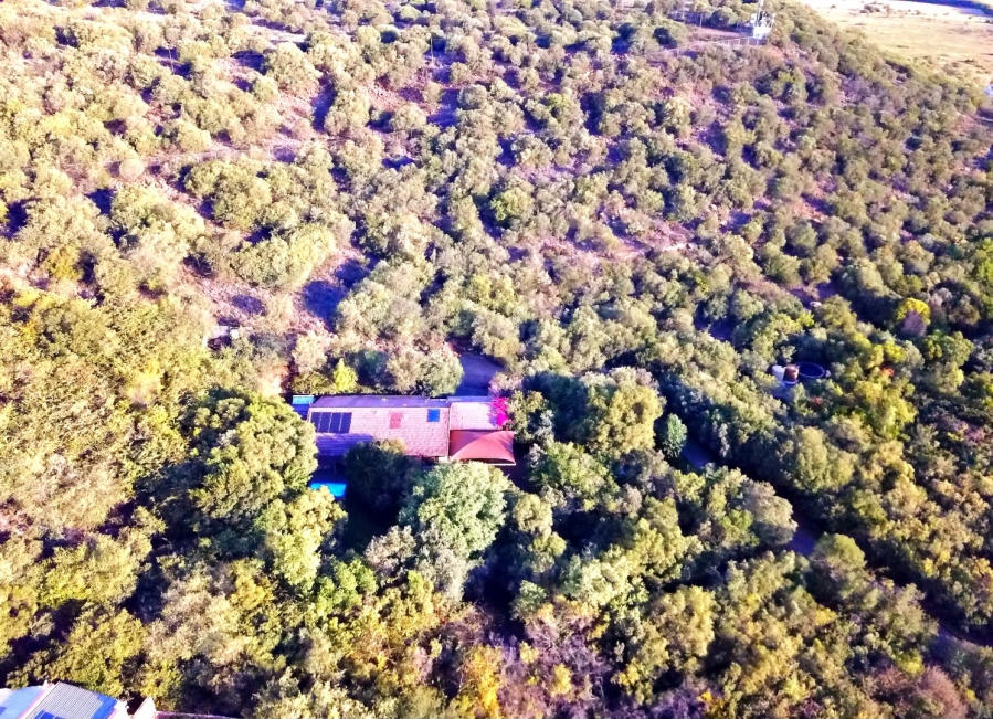 Commercial Property for Sale in Quaggafontein Free State